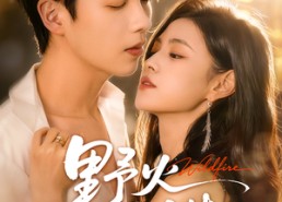 【野火同谋】66集短剧免费在线全集赏