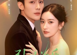 【引以为乐】78集短剧免费在线高清观看