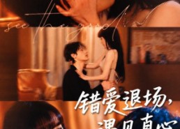 【错爱退场，遇见真心】82集短剧全集在线畅看