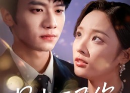 【星光不及你】62集在线免费短剧全看