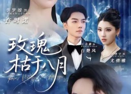 【玫瑰枯于八月】80集免费短剧在线极速观看