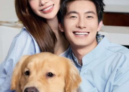 【我的野蛮男友】70集在线免费看短剧全集