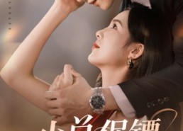 【少总保镖太粘人】73集短剧免费全集线上看