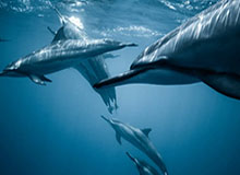 【巾帼老妈】87集短剧全集免费畅快看