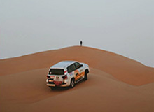 【圣子狂龙】95集在线短剧免费全集赏