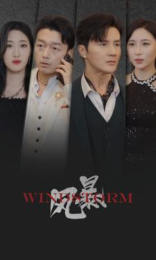风暴(77集) 风暴(77集)热门短剧在线看