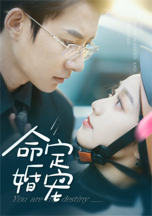 命定婚宠(61集) 命定婚宠(61集)今日最火短剧