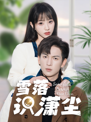 雪落识潇尘(80集) 雪落识潇尘(80集)每日分享短剧