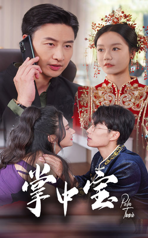 掌中宝（31集）第一季