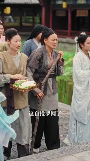 精忠报国（41集）短剧演员排行榜