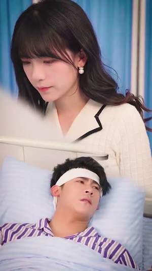 终将返航的爱情（66集）免费短剧全集看