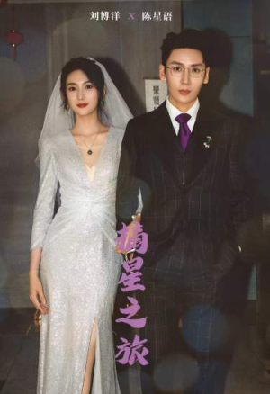 摘星之旅(88集) 摘星之旅(88集)流畅播放免费看