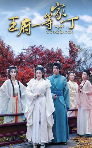 王府一等家丁(93集) 王府一等家丁(93集)看到了大结局