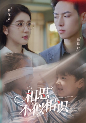 相思不似相识(101集) 相思不似相识(101集)全网独播免费看