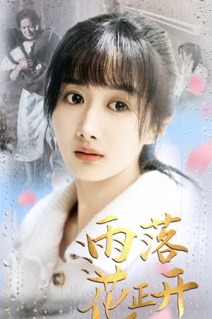 雨落花正开(62集) 雨落花正开(62集)古装短剧推荐