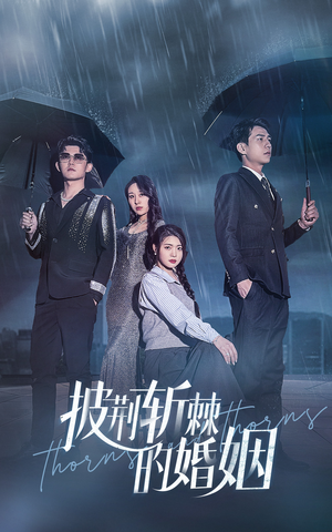 披荆斩棘的婚姻(70集) 披荆斩棘的婚姻(70集)解说