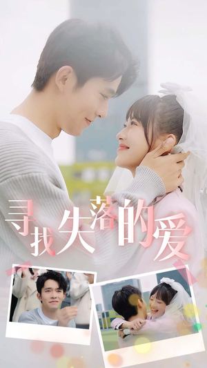 寻找失落的爱（79集）在哪看免费