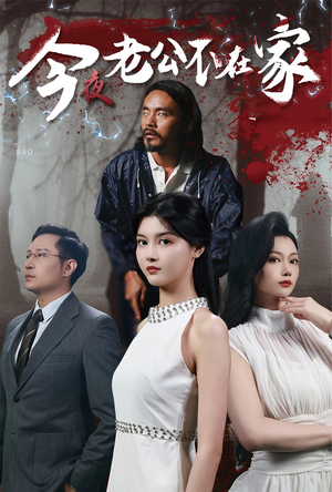 今夜老公不在家（44集）免费观看完整版