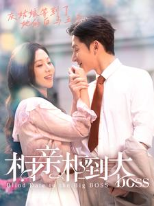 相亲相到大boss(101集) 相亲相到大boss(101集)一共多少集