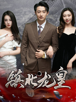 镇北龙帅（97集）更新时间