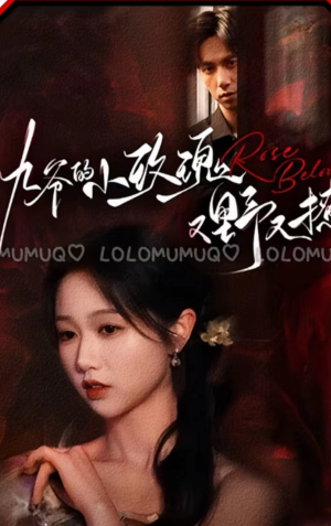 九爷的小玫瑰又野又撩（100集）海量短剧免费看