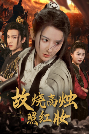 故烧高烛照红妆（62集）精彩片段