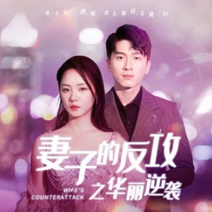 妻子的反攻之华丽逆袭(30集) 妻子的反攻之华丽逆袭(30集)全剧看到大结局