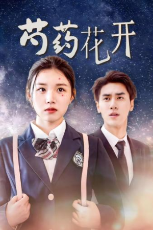 芍药花开(77集) 芍药花开(77集)百亿短剧抢先看