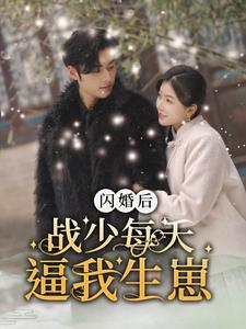 闪婚后战少每天逼我生崽（91集）在线观看