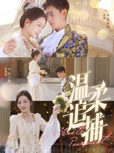 温柔追捕(89集) 温柔追捕(89集)真的好看吗