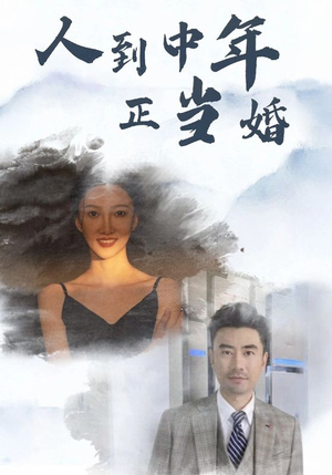 人到中年正当婚(81集) 人到中年正当婚(81集)番茄短剧免费看