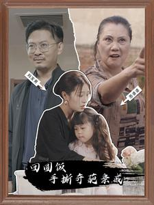 团圆饭手撕奇葩亲戚（40集）热门火爆短剧