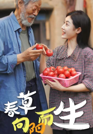 春草向阳而生（53集）网盘在线观看