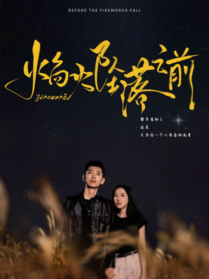 焰火坠落之前（99集）夸克在线观看
