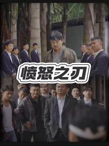 愤怒之刃（35集）无需会员轻松看