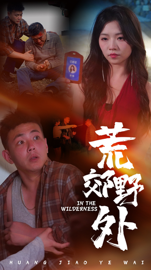 荒郊野外(40集) 荒郊野外(40集)1-102集