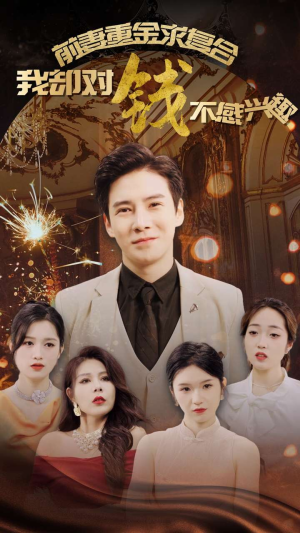 前妻重金求复合我却对钱不感兴趣（100集）百度网盘在线看