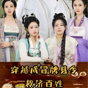 穿越成冒牌县令救济百姓（95集）80到100集