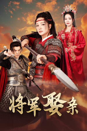 将军娶亲（36集）在线免费观影