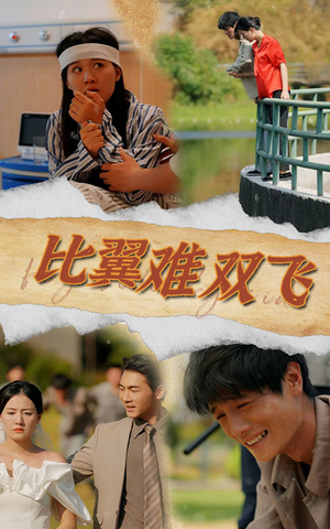 比翼难双飞(30集) 比翼难双飞(30集)全集