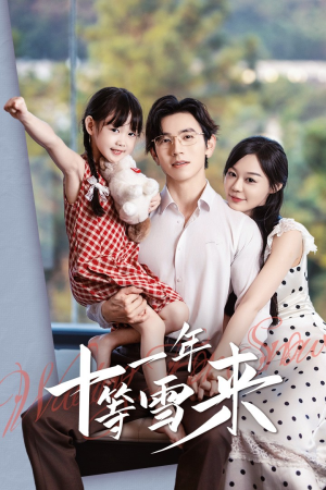 十一年等雪来（50集）每天分享短剧