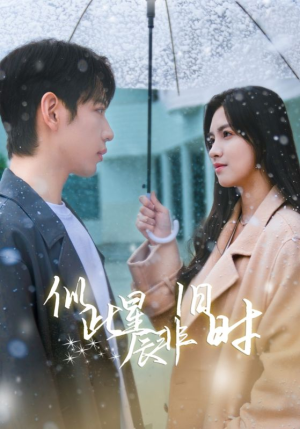 似此星辰非旧时（59集）精彩短剧来了