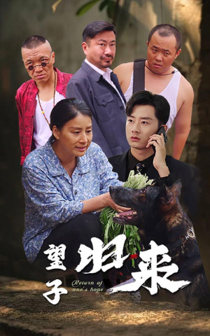 望子归来(50集) 望子归来(50集)热门火爆短剧
