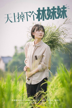 天上掉下个林妹妹(81集) 天上掉下个林妹妹(81集)推荐热门短剧