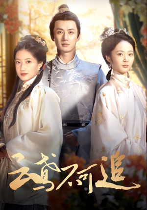 云鸢不可追(42集) 云鸢不可追(42集)免费看短剧全集