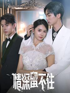 情深留不住(80集) 情深留不住(80集)短剧排行榜