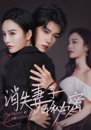 消失妻子的秘密（60）红果短剧看全集