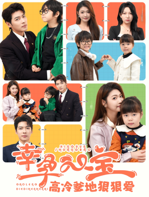 幸孕双宝高冷爹地狠狠爱（80集）评价怎么样