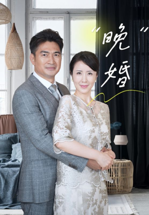 晚婚(65集) 晚婚(65集)真的好看吗