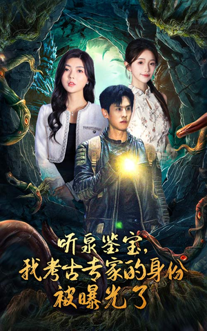 听泉鉴宝，我考古专家的身份被曝光了（62集）在哪看免费